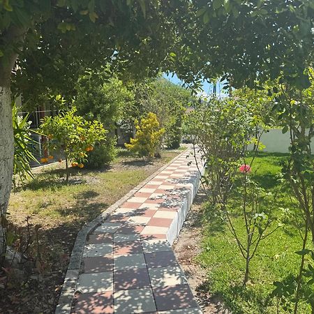 Koala Place Vasiliki  Luaran gambar