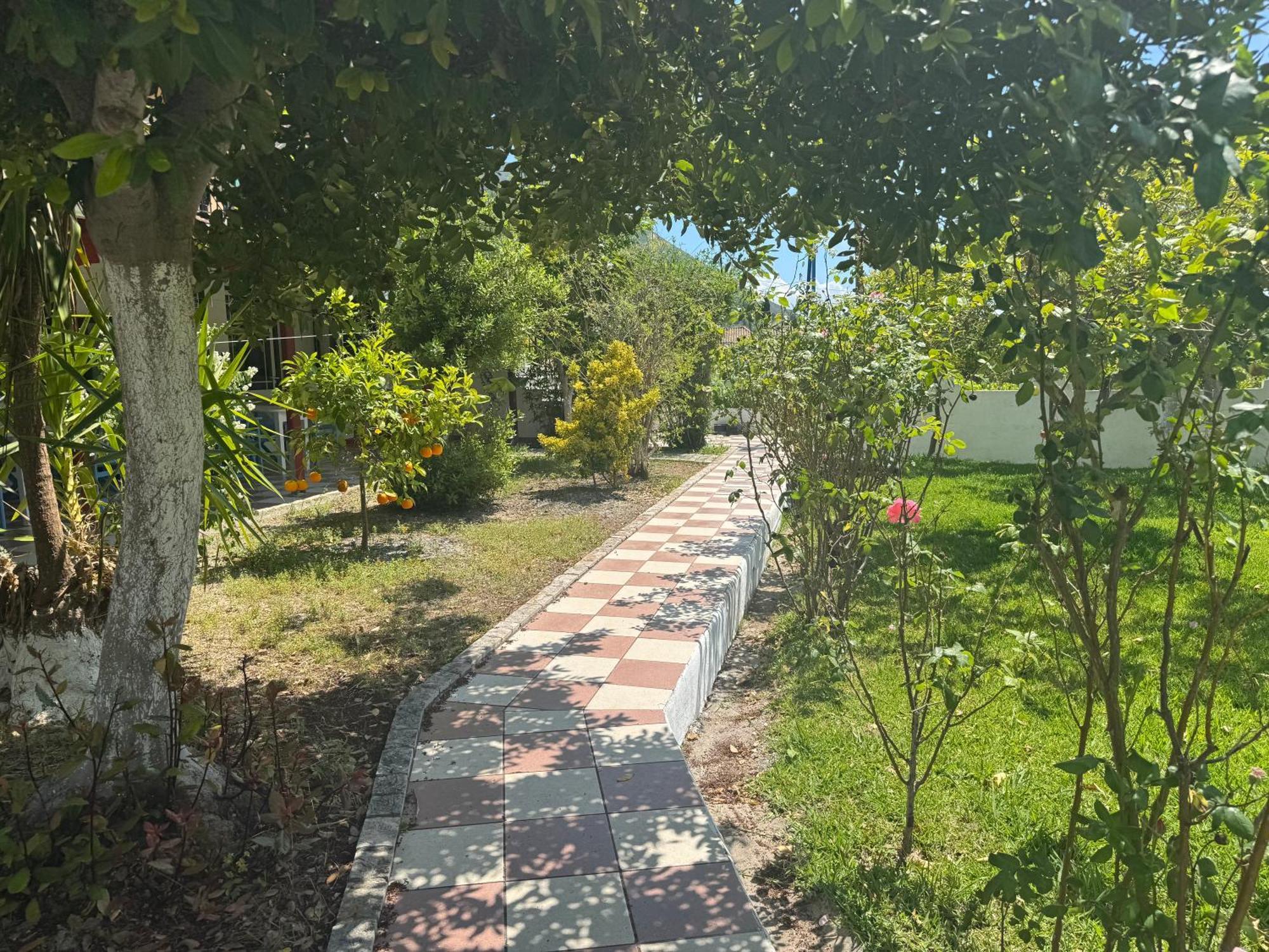 Koala Place Vasiliki  Luaran gambar