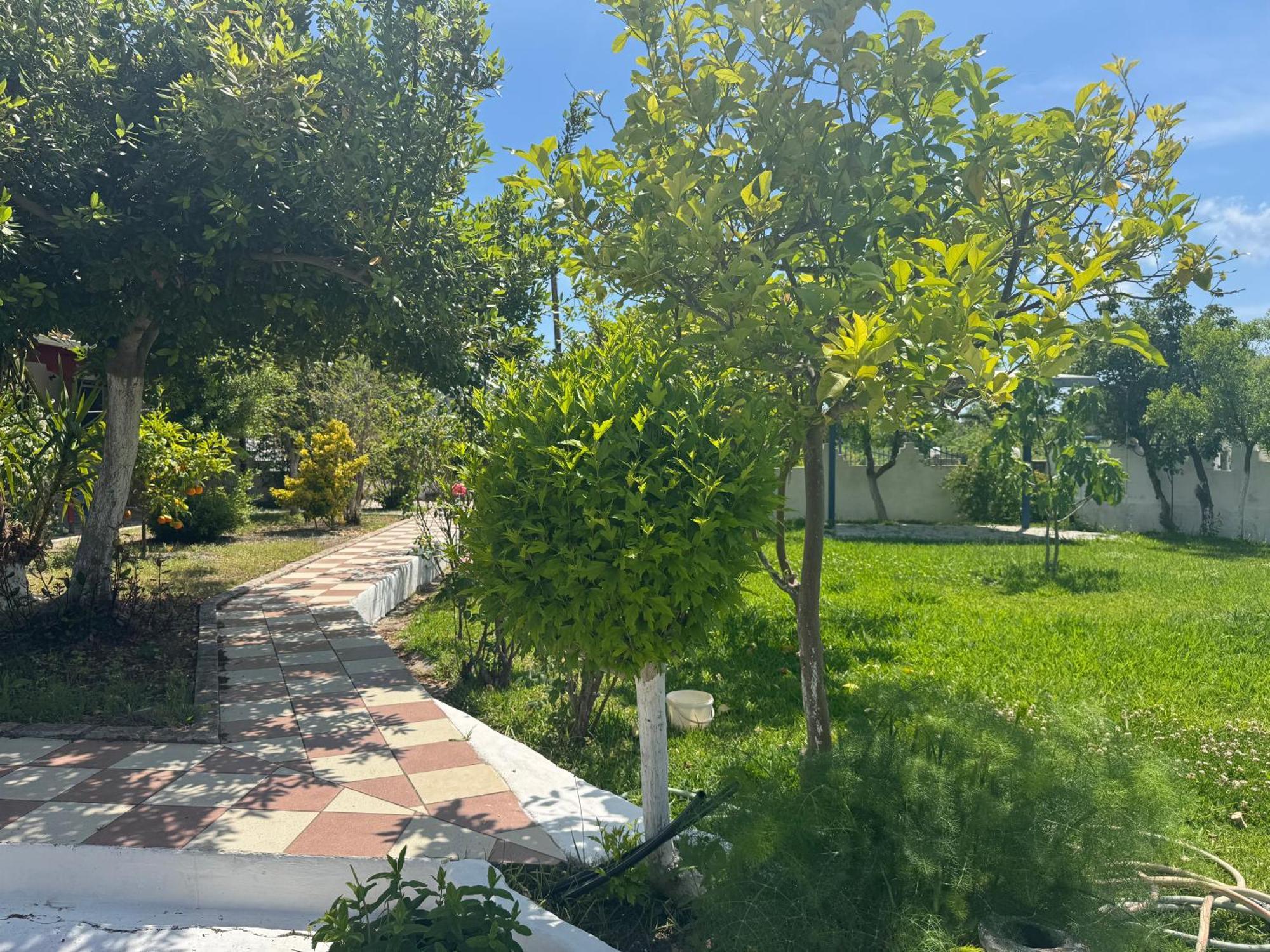 Koala Place Vasiliki  Luaran gambar